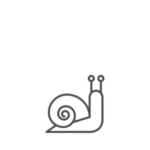 Lumache